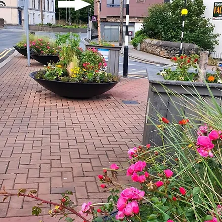 Robins Nest Appartamento Clifden